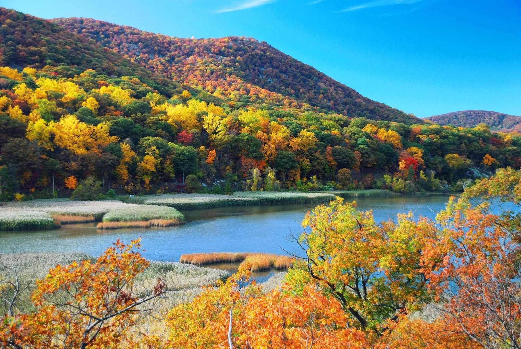 Hyatt House Fishkill-Poughkeepsie Hotel Luaran gambar